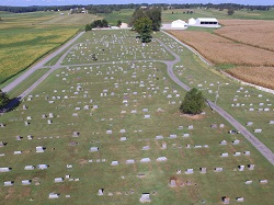 Cemetery 03